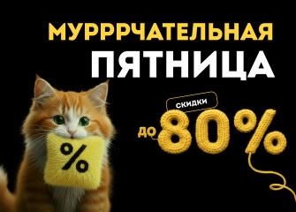 Чёрная пятница