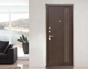 Топ-5 популярных входных дверей