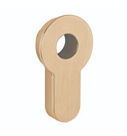 Вставка под шток цилиндра INSERT TANG SSG-39 сатинированное золото