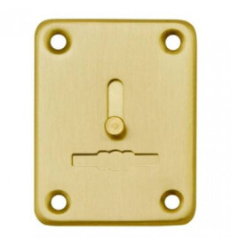 Декоративная накладка ESC081-SG-1 (МАТ ЗОЛОТО) на сув. замок с шторкой (1шт) (латунь)