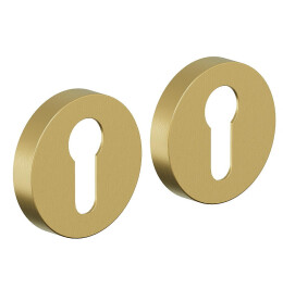 Накладка цилиндровая на круглой розетке Bravo AR-7CL Sgold