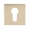 Накладка цилиндровая на квадратной розетке Vantage ET04PB Золото