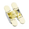 Петля скрытая HCS 110*62*27/21 Sgold