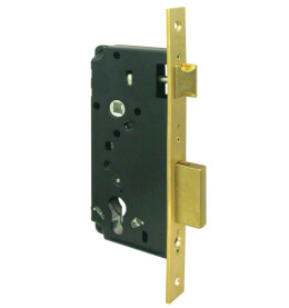 Корпус врезного замка с защёлкой «5C.110.60» (с отв. планкой) Золото