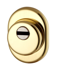 Броненакладка на ЦМ (от вырывания, 25 мм) «ET/ATC-Protector 1-25» GP-2 Золото box