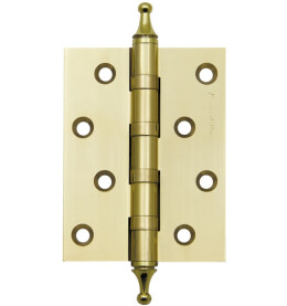 Петля универсальная IN4500UA GP (500-A4) 100x75x3 золото Box