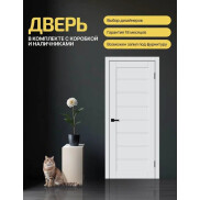 Дверь межкомнатная Браво-20 ПЭТ White Silk, глухая, царговая