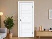 Дверь межкомнатная Браво-28/2 (WS) ПЭТ, White Silkwood, остекленная, magic fog, царговая