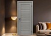 Дверь межкомнатная Порта-210 Полипропилен, Grey Oak, глухая, царговая