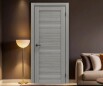 Дверь межкомнатная Порта-210 Полипропилен, Grey Oak, глухая, царговая