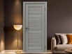 Дверь межкомнатная Порта-210 Полипропилен, Grey Oak, глухая, царговая