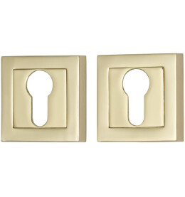 Накладка под цилиндр «Bravo A/Z-2CL» Золото