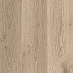 tumb 3 - Ламинат Balterio Traditions 025 Дуб Королевский Светлый AC 4/32  V (1,573 кв.м.)