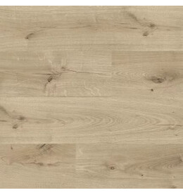 Ламинат AC5/33 класс Cuberta Family, толщина 8 мм, 4113 Дуб Беверли