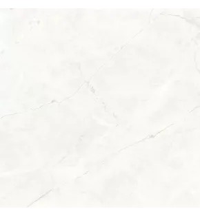 Коннект Перл Керамогранит светло-серый SG624920R 59,5х59,5 матовый