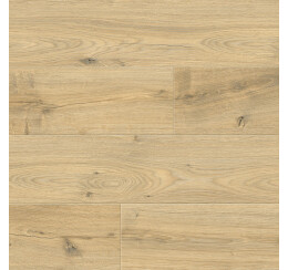 Ламинат AC6/34 класс 4V Floorwood Paradigma толщина 12 мм 8335 Дуб Риман/ Riman Oak