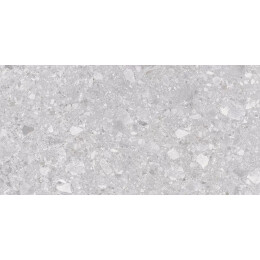 Matrix Керамогранит светло-серый K952681R0001LPER 60х120