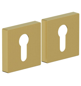 Накладка цилиндровая на квадратной розетке Bravo AS-6CL Sgold