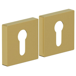 Накладка цилиндровая на квадратной розетке Bravo AS-6CL Sgold