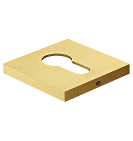 Накладка на квадратной розетке Morelli MH-KH-S6 MSG матовое сатинированное золото