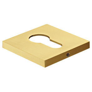 Накладка на квадратной розетке Morelli MH-KH-S6 MSG матовое сатинированное золото
