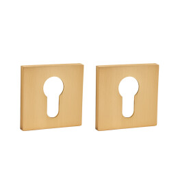 Накладка под цилиндр ET.K.JS51 (ET JS) SSG-39 сатинированное золото