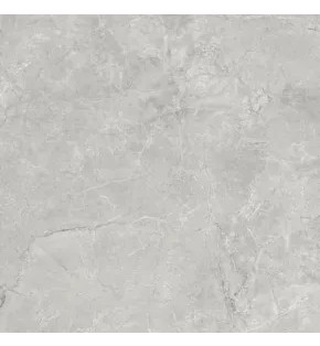 Плуто Сильвер Керамогранит светло-серый SG625820R 59,5х59,5 матовый