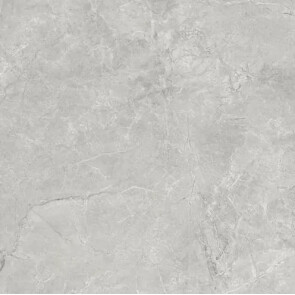 Плуто Сильвер Керамогранит светло-серый SG625820R 59,5х59,5 матовый