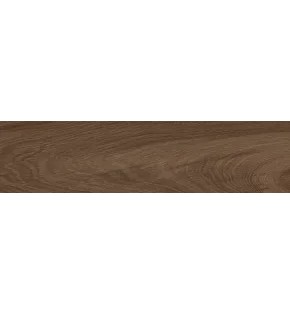 Polo Choco Керамогранит шоколадный K952685R0001LPET 20х80