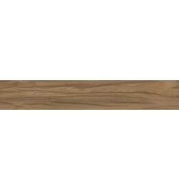 Selva керамогранит коричневый SG517720R 20х119,5