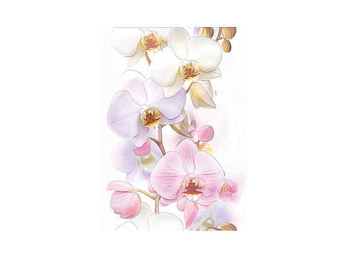 Tropicana Декор Orchids (TC2M051DT) 25х35