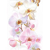 tumb 1 - Tropicana Декор Orchids (TC2M051DT) 25х35