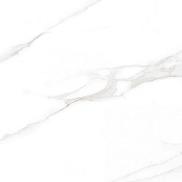 Calacatta Regal Grey Керамогранит белый 60х60 Полированный