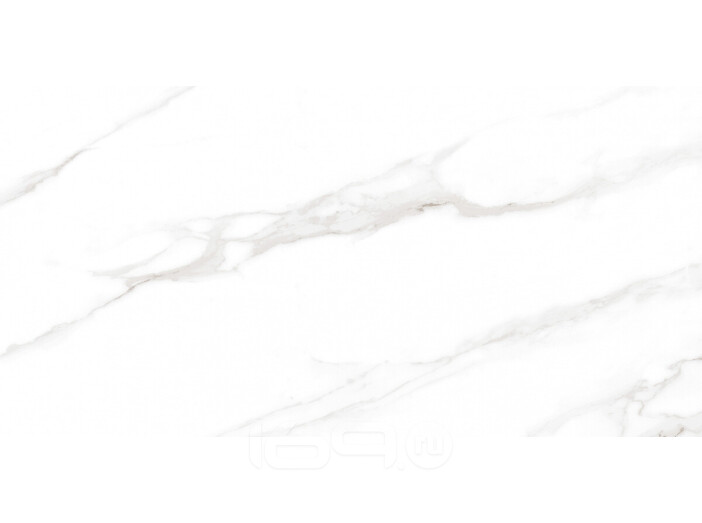 Calacatta Regal Grey Керамогранит белый 60х120 Полированный