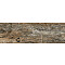 Northwood глаз. керамогранит бежевый (C-NW4M012D) 18.5x59.8
