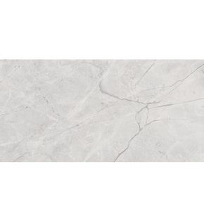 Connect Gris Керамогранит серый SG50002922R 60х119,5 полированный