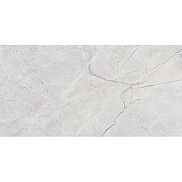 Connect Gris Керамогранит серый SG50002922R 60х119,5 полированный