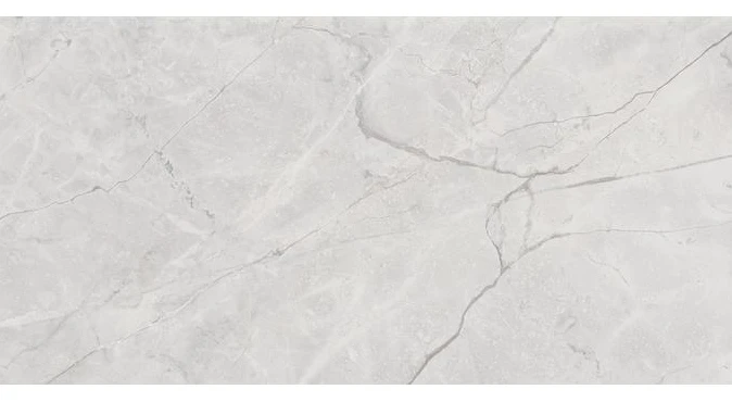 Connect Gris Керамогранит серый SG50002922R 60х119,5 полированный