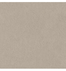 Джиминьяно Керамогранит бежевый матовый обрезной DD642420R 60х60