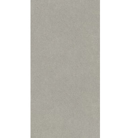 Джиминьяно Керамогранит серый матовый обрезной DD519320R 60х119,5