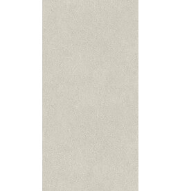 Джиминьяно Керамогранит серый светлый матовый обрезной DD519220R 60х119,5