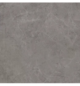 Гран Пале Керамогранит серый SG457320R 50,2х50,2