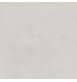 Онда Керамогранит серый светлый натуральный обрезной SG648220R 60х60