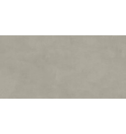 Про Чементо Керамогранит бежевый матовый обрезной DD506920R 60x119,5