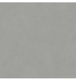 Про Чементо Керамогранит серый матовый обрезной DD641620R 60x60