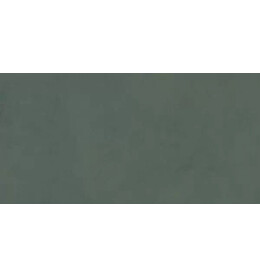 Про Чементо Керамогранит зелёный матовый обрезной DD507420R 60x119,5
