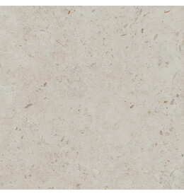 Про Лаймстоун бежевый темный натуральный обрезной DD641120R 60х60