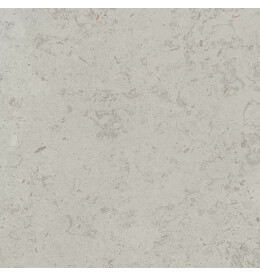 Про Лаймстоун серый светлый натуральный обрезной DD641020R 60х60
