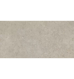 Риккарди Керамогранит бежевый матовый обрезной SG540620R 60x119,5