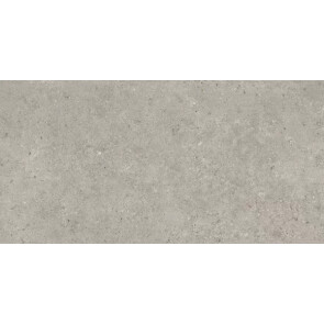 Риккарди Керамогранит серый светлый матовый обрезной SG519920R 60х119,5